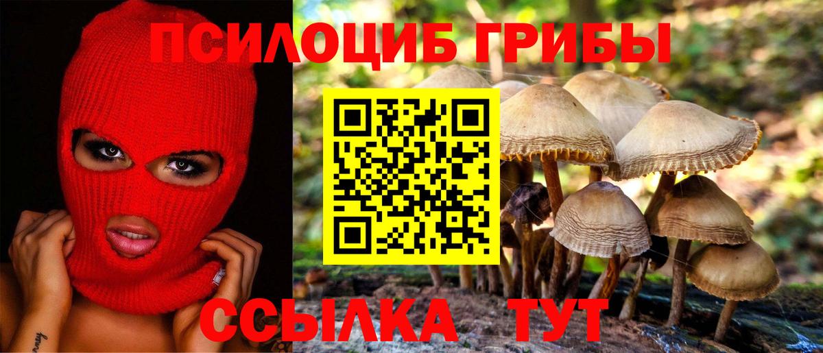 где продают   Псилоцибиновые грибы мухоморы  Галлюциногенные грибы Magic Shrooms  Вход с VPN  Лабытнанги 